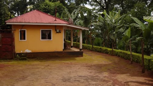 African hut in forest