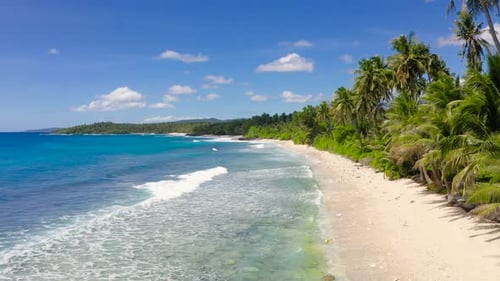 Sandstrand und Palmen