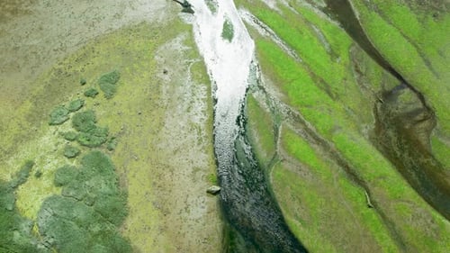Fly along the ground and photograph rivers, green moss and alluvial plains.