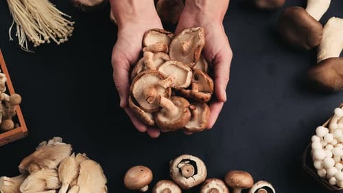 Champignons fraîchement cueillis sur la maison, cuisine, gros plan, texture d'un champignon brun, femme cuisinant délicieusement