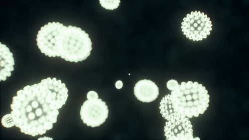 Viruses Under the Microscopic View for Education