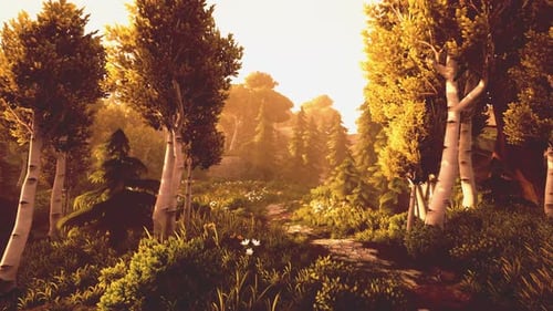 Cartoon Wooded Forest Trees Backlit By Golden Sunlight