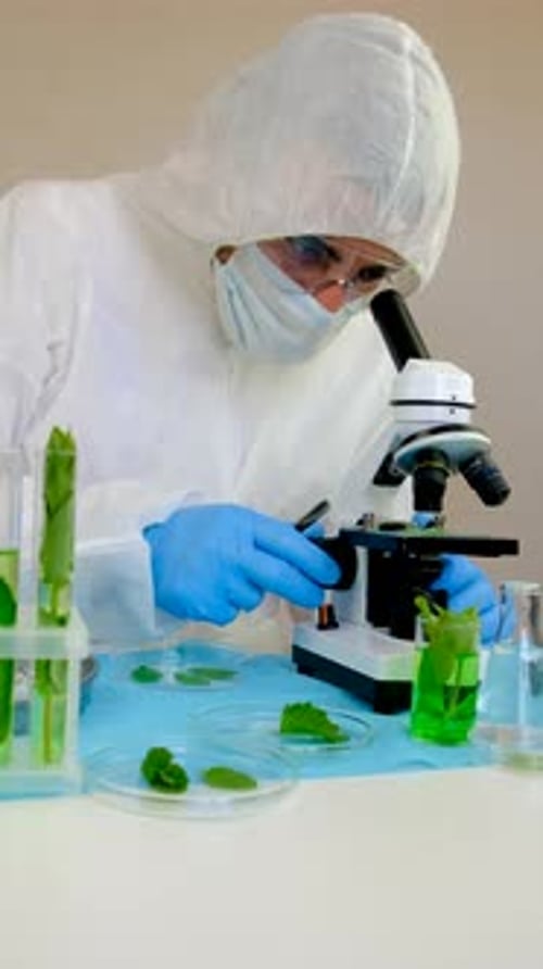 Scientist Using Microscope with Plants in Lab