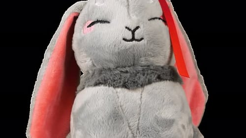 Kuscheliges und flauschiges graues Kaninchen dreht sich um und sieht sich um. Alpha-Kanal enthalten.