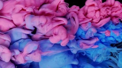 Pink And Blue Ink Cloud Mixing In Water Slow Motion Black Background Abstract Motion Backdrops Art