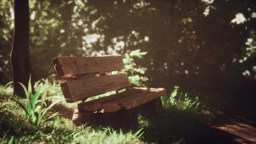 Wooden Bench in the City in Spring Under the Sun