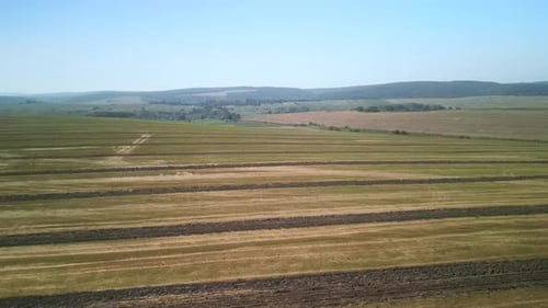 Agricultural field aerial view of farming in Ukraine