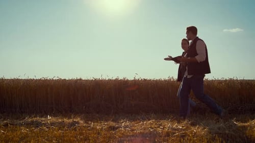 Agronomists Team Walking Wheat Field On Sunny Day. Summer Harvesting Season. Professional Farming...
