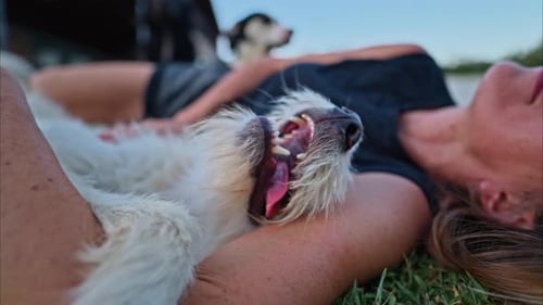 Woman Lying in the Grass Petting White Dog