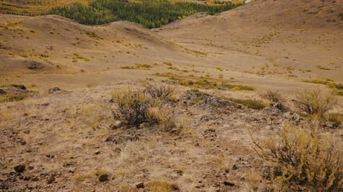 Camera Panning Up From a Dry Valley Floor to a Mountain Range in the Distance A River Winds Through
