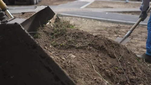 Workers Shovel Soil Mixed with Grass Into Excavator Bucket