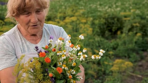 Senior Woman Gathers Wildflowers in Rural Field