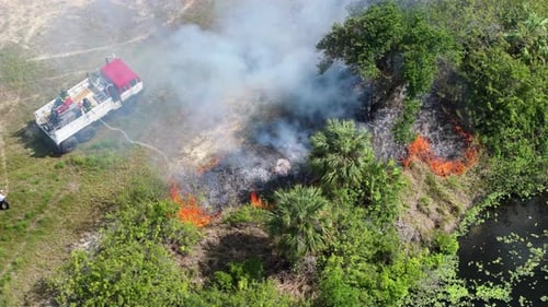 Florida Woodland Burns in Intense Vegetation Fire During Dry Conditions As Firefighters Respond to