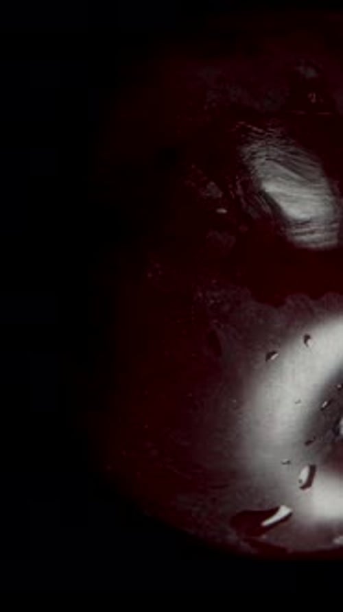 Vertical video. Slow-Motion Fall of a Black Plum as It's Caught by a Hand, Top View, Isolated.