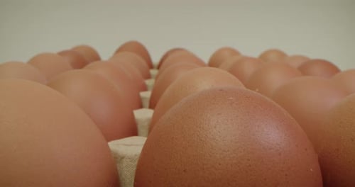 Chicken Eggs Many Brown Eggs Macro Camera Slide Lots of Fresh Chicken Raw Eggs in Long Rows Shallow