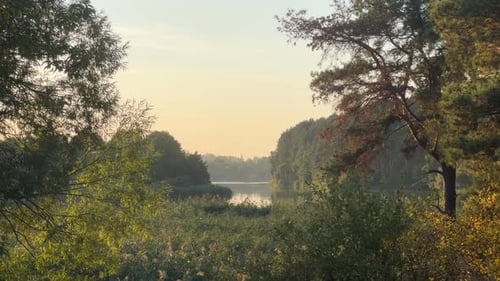 View Of The River Bank At Sunset
