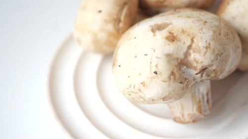 Fresh Champignons Mushroom in a White Bowl on Table