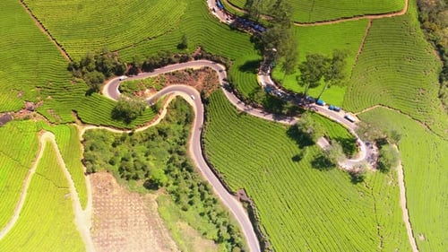 Route de Munnar Avec Des Voitures Se Déplaçant, Vue Depuis Des Images De Drone