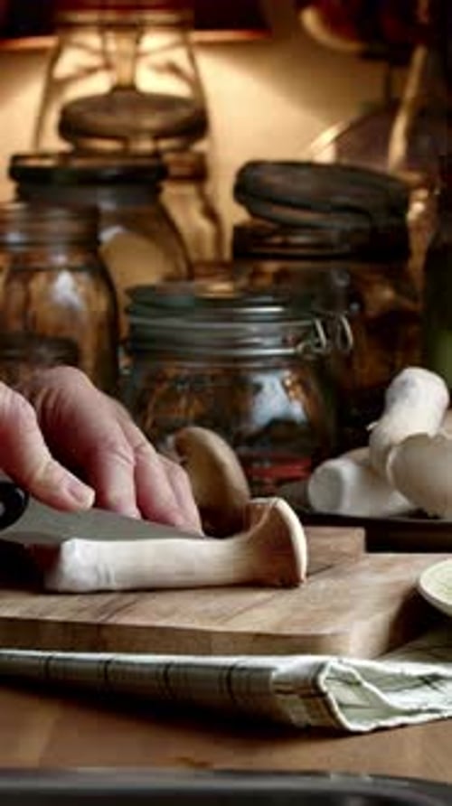 Vertical View Of Mushrooms