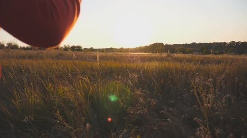 Carefree Little Child Running with Toy Plane Among Meadow Over Sunset Background Small Boy Jogging