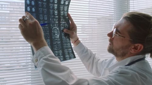 Doctor Examining Brain Scan in Bright Office