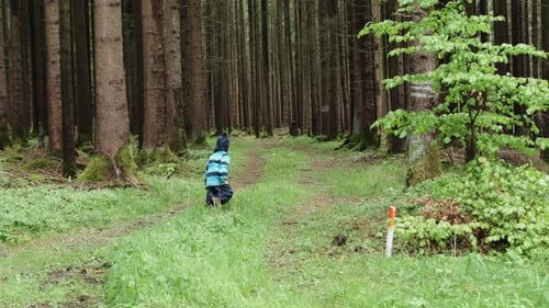 Young boy running and playing in the forest. Shot on a tripod in slow motion