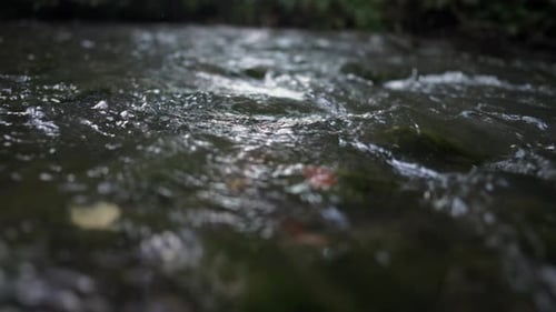 Wild River Flow Beautiful Water Stream Background Summer Romantic Wonderland