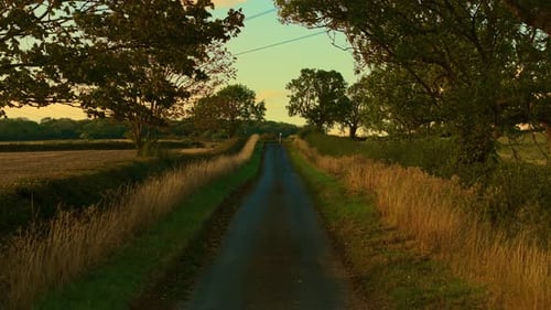 Moving Along Narrow Country Road Surrounded By Fields and Trees POV Traveling Down Rural Lane Lined
