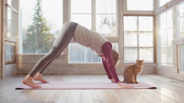Woman doing yoga exercise stretching hamstring with pet cats nearby in ...