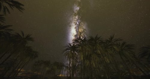 Vista majestosa da Via Láctea estendendo-se sobre uma paisagem tranquila de palmeiras
