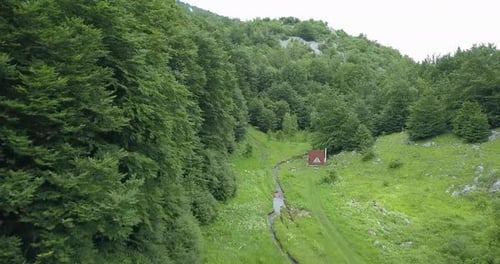 Borov Kamak, Vratsa, Bulgarie, ruisseau dans la forêt