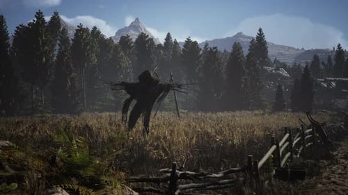 Scarecrow on the Old Village Field