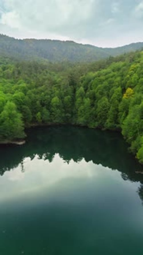 Vertical Forest and Lake