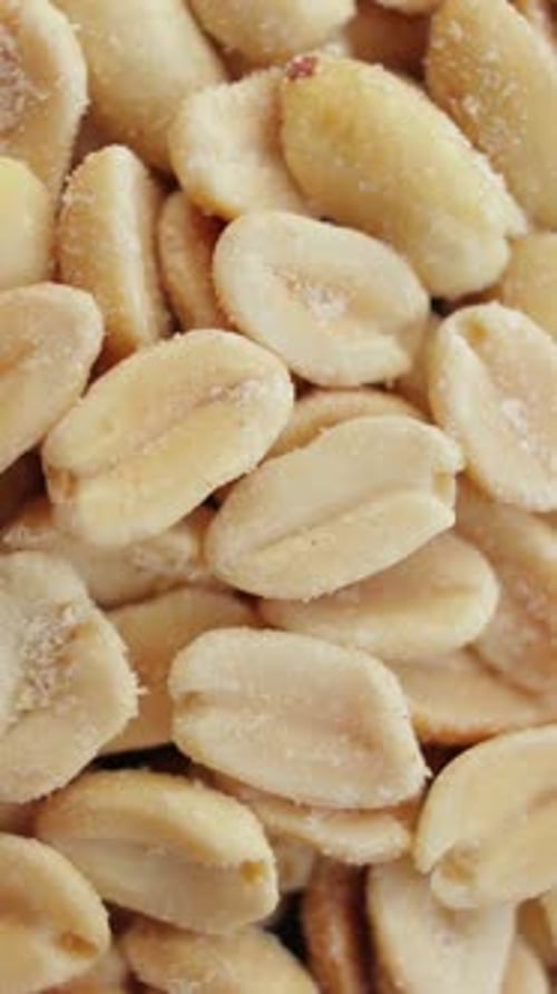 Roasted Salted Peanuts Closeup Macro Revolving on a Turntable Vertical Video