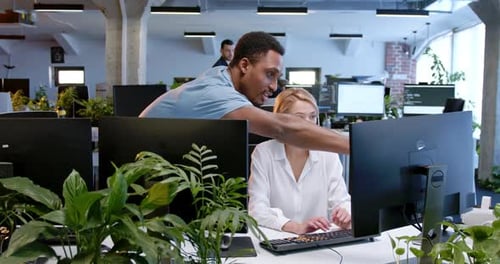 Hombre y mujer mestizos trabajando juntos en la pantalla de la computadora y hablando sobre el proyecto.