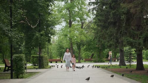 Mutter und Mädchen füttern Vögel Sonnenbeschienene Familienszene im Park Fröhliche Familie verbringt Zeit miteinander