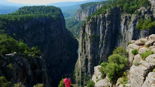 Luftaufnahme eines Reisenden, der auf dem Gipfel einer tiefen Schlucht steht