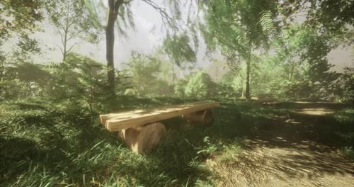 Serene Park Setting with Wooden Benches and Lush Greenery