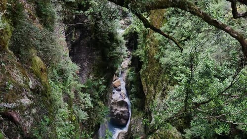 ruisseau de canyon profond et isolé avec des falaises luxuriantes et des rochers
