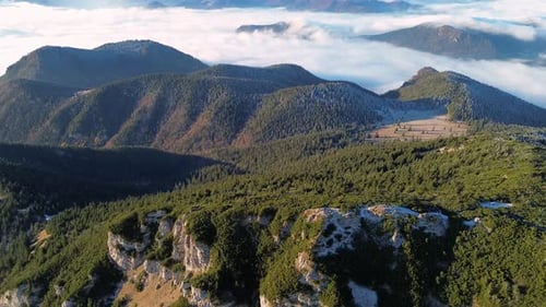 Aerial View of Mountainous Landscape with Forests Valley Full of Fog