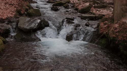 Landscape of waterfall Shypit in the Ukrainian Carpathian Mountains.