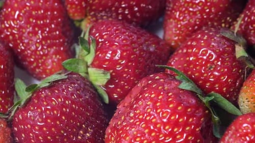 A Group of Red Mouthwatering Ripe Strawberries Rotates in a Circle