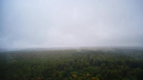 Evaporation of moisture after rain over a wet autumn forest. Steam rises into the sky