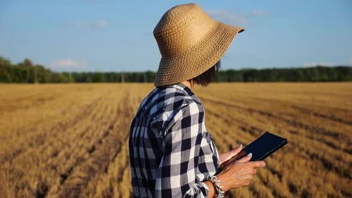 Female Farmer Uses Digital Tablet While Going Through Wheat Meadow Adult Agronomist in Straw Hat