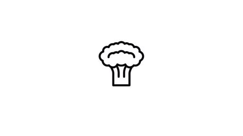Broccoli Icon Animation