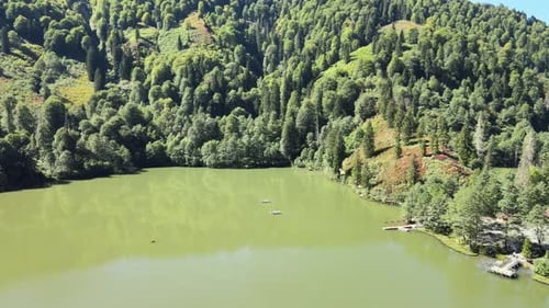 green lake forest nature landscape