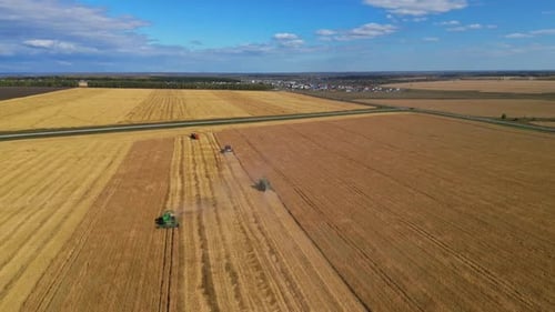 Different Agriculture Machines Harvesting Grain in Wheat Field Drone Point of View.