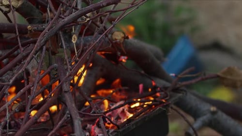 Un feu de bois brûle comme un enfer 4