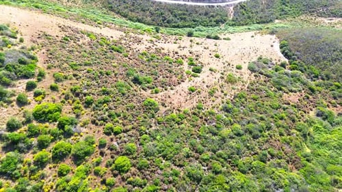 aerial view over rugged landscape, green trees, dry land, portugal, 4k