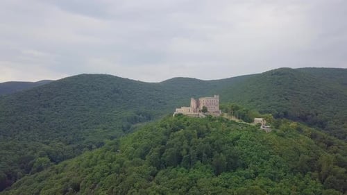 Mountains covered in trees on the background of a big medieval castle, 4k